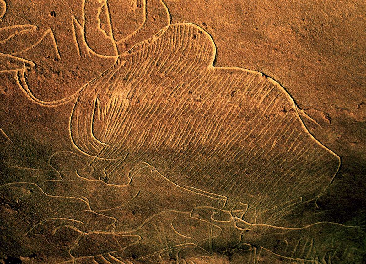 1166x842 Cussac Cave - Mammoth Cave Painting