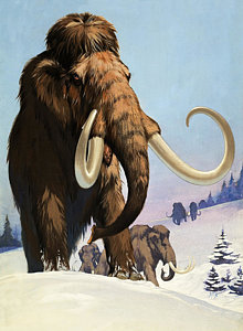 220x300 Mammoth Paintings Fine Art America - Mammoth Painting