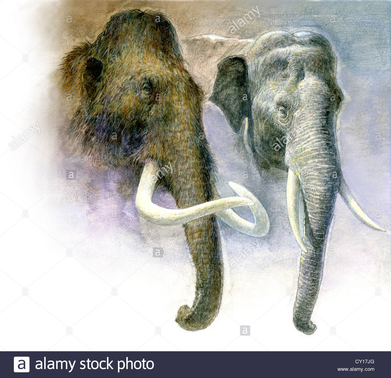 1300x1258 Painting Comparison Of A Woolly Mammoth And An Asian Elephant - Mammoth Painting