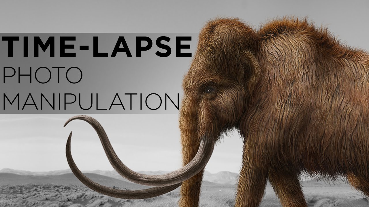 1280x720 Time Lapse Digital Painting Woolly Mammoth In Photoshop - Mammoth Painting
