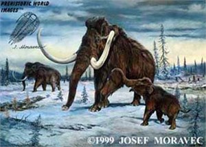 300x215 Woolly Mammoth Ice Age Animal Pleistocene Mammal Oil Painting - Mammoth Painting
