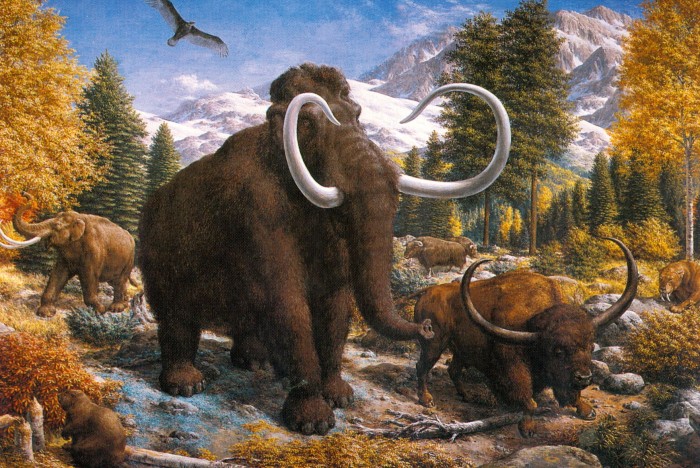 700x468 Bone China Mammoth - Mammoth Painting