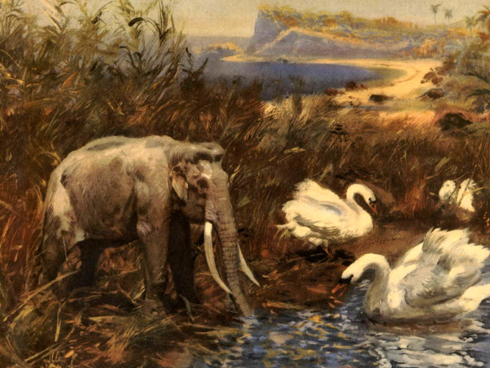 490x368 Did The Ancient Egyptians Know Of Pygmy Mammoths Well, There Is - Mammoth Painting