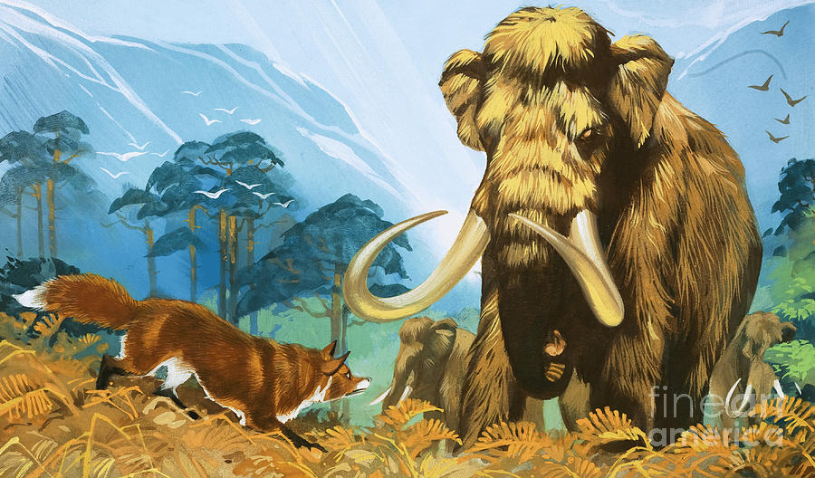 900x528 Fox Attacking Mammoth Painting By Angus Mcbride - Mammoth Painting