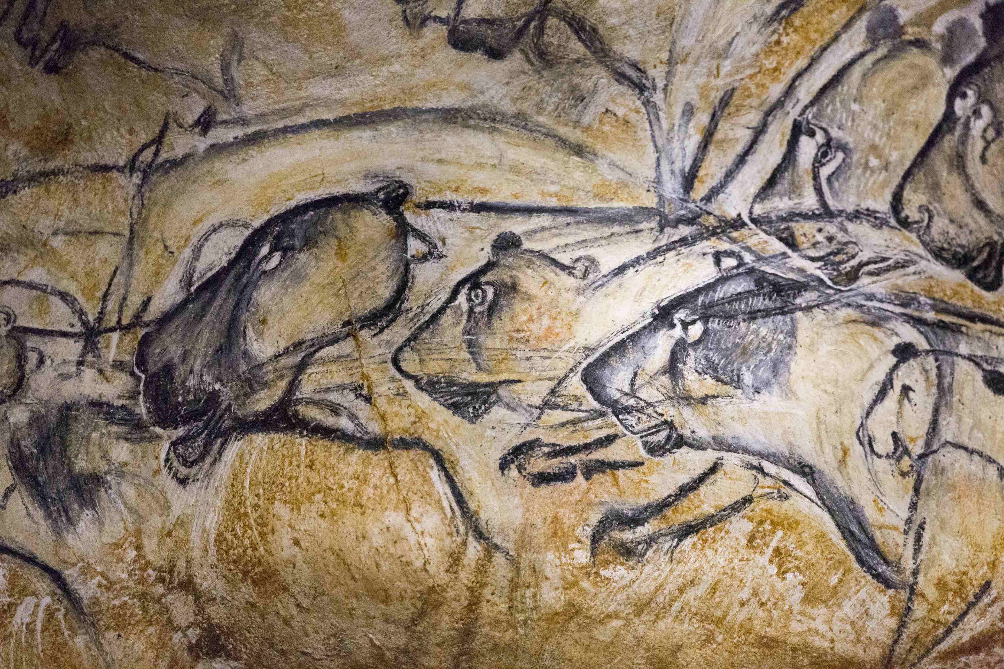3500x2333 This Art Was Done By A Cave Man 32,000 Years Ago. Woahdude - Man Cave Painting