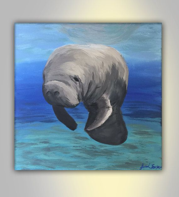 570x628 Manatee Painting Canvas Original Painting With Acrylic Paint, Sea - Manatee Painting
