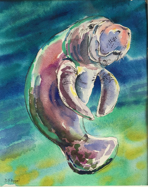 570x720 Manatee Painting Manatee Watercolor Painting Watercolor - Manatee Painting