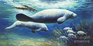 300x150 Manatee Paintings Fine Art America - Manatee Painting