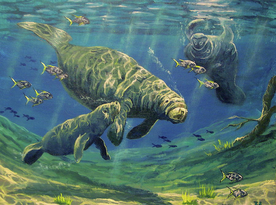 900x668 Manatees Painting By Marco Antonio Aguilar - Manatee Painting