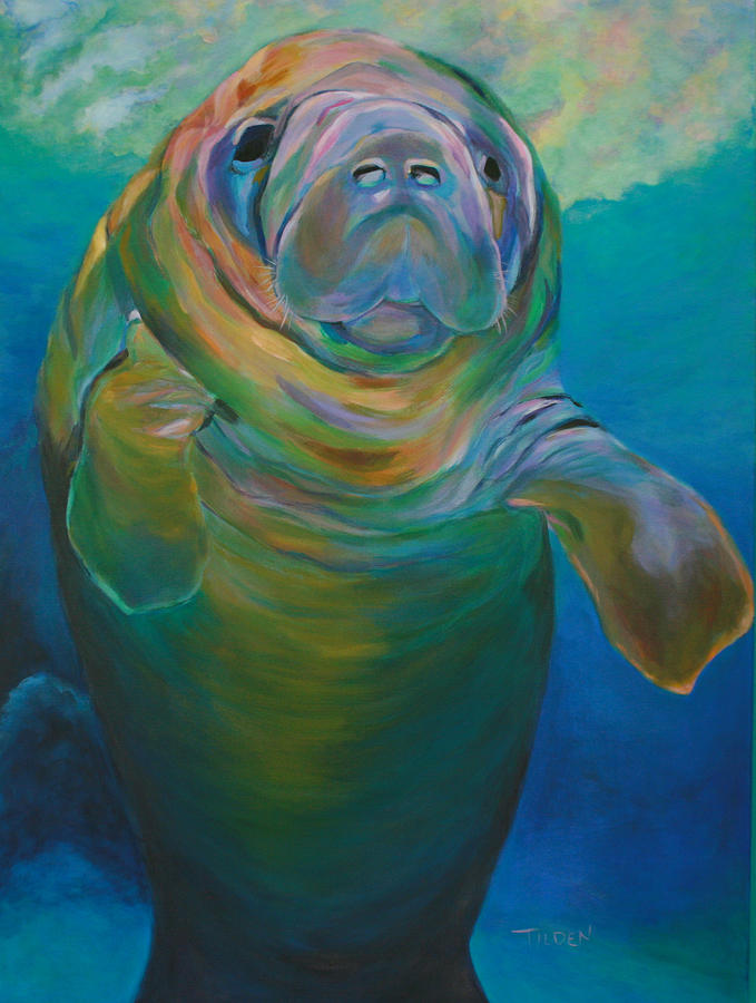 679x900 Molly The Manatee Painting By Linda Tilden - Manatee Painting