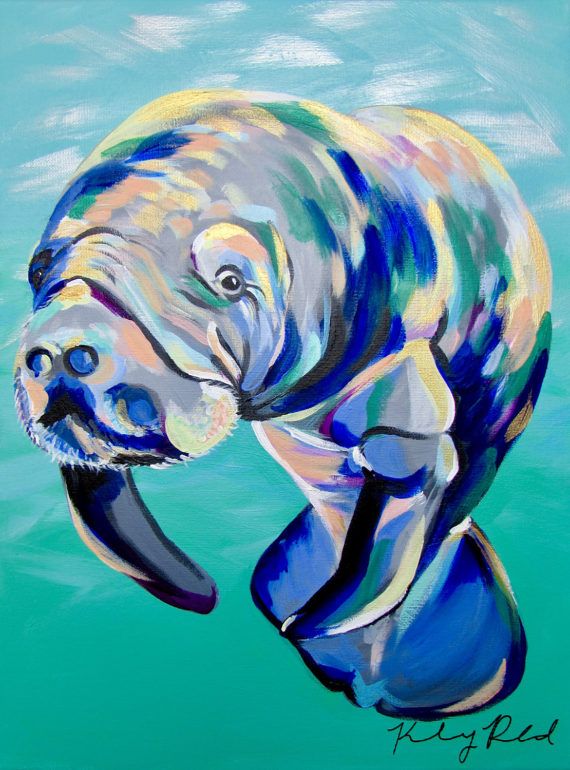 570x770 Mutlicolored Manatee By Kelsey Rowland Manatee - Manatee Painting