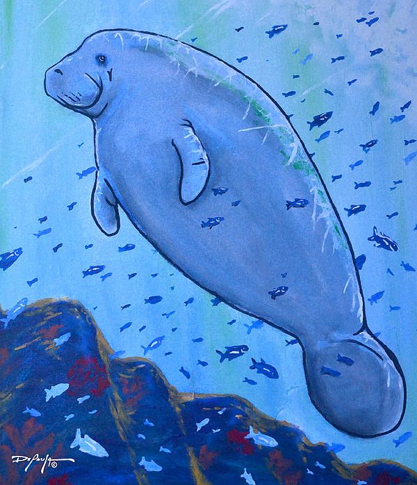 600x697 The Manatee By William Depaula - Manatee Painting
