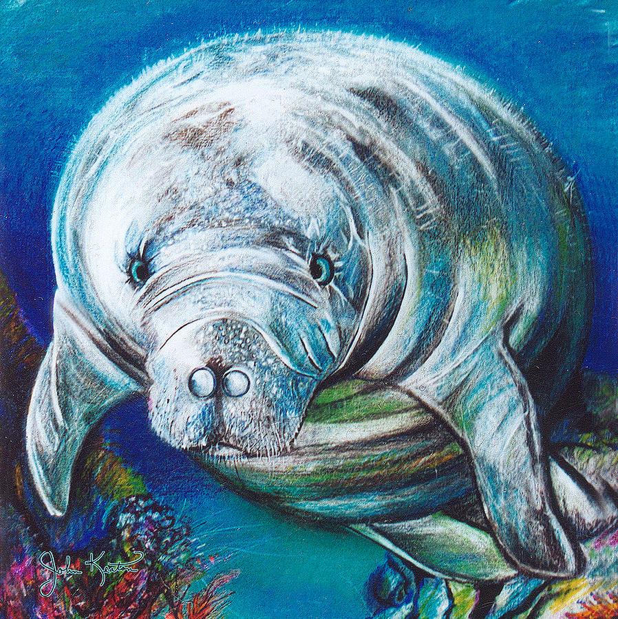 898x900 Manatee Painting - Manatee Painting