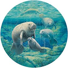 236x236 Original 24 X 30 Manatee Painting By Kimwestberryart On Etsy - Manatee Painting