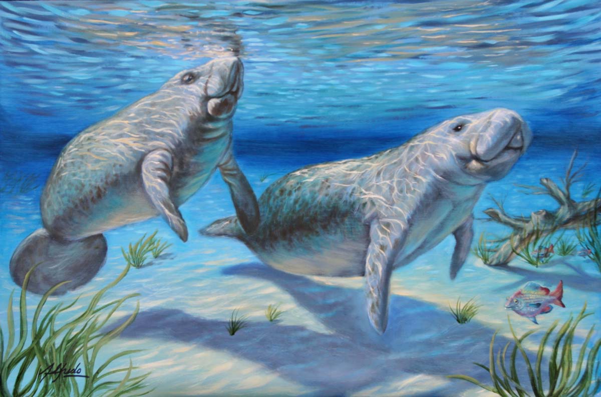 1200x794 Gentle Giants Of Blue Springs - Manatee Painting