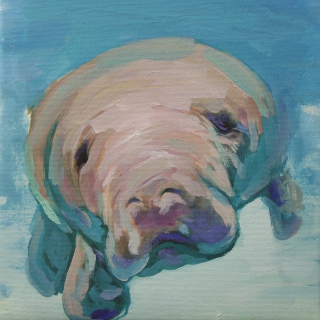 640x640 Lindsay Rapp - Manatee Painting