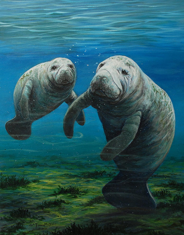 707x900 Mama's Baby Painting By Fawn Mcneill - Manatee Painting