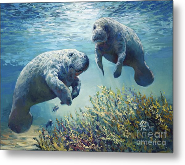 600x533 Manatee's Painting By Laurie Hein - Manatee Painting
