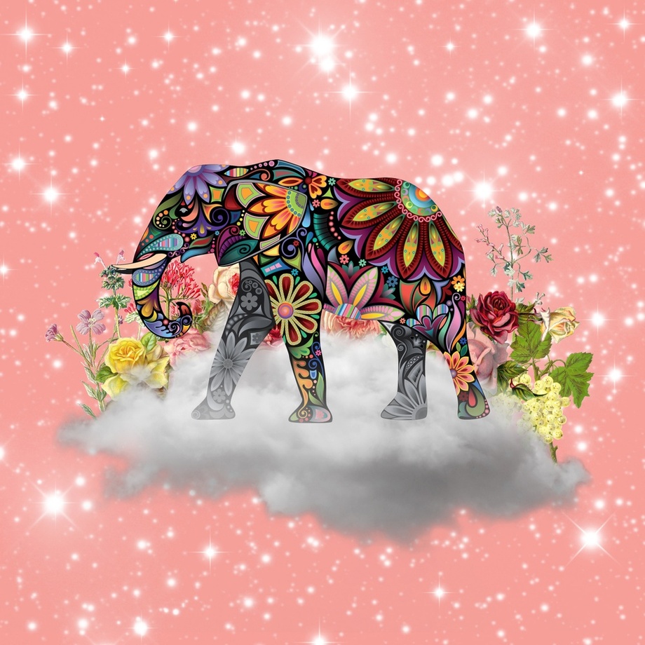 920x920 Elephant Mandala, An Art Print By Gloria - Mandala Elephant Painting