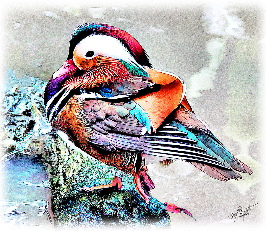 900x782 Mandarin Duck Painting By Tom Schmidt - Mandarin Ducks Painting