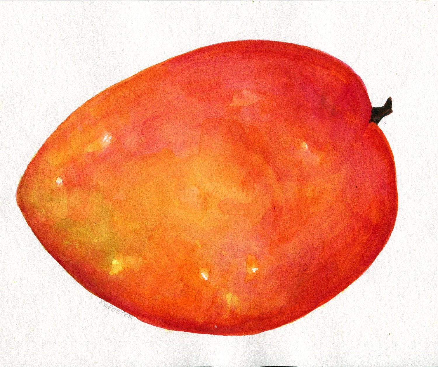 1500x1256 Mango Watercolor Painting Original 8 X 10 Fruit Artwork. Kitchen - Mango Painting