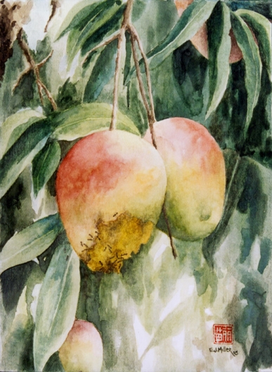 387x530 Gorgeous And Rotten - Mango Tree Painting