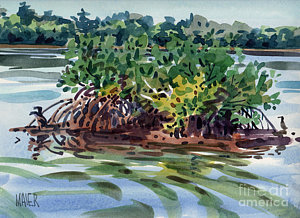 300x218 Mangrove Island Painting By Donald Maier - Mangrove Painting