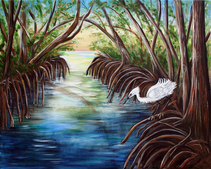 900x722 Mangrove Morning Painting By Dorothy Riley - Mangrove Painting
