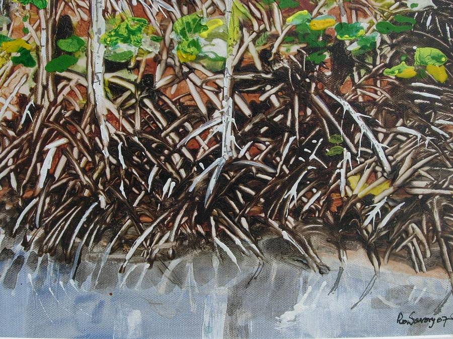 900x675 Mangrove Painting By Ron Savory - Mangrove Painting