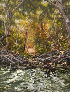 236x310 Mangrove Paintings Photos Paintings, Art Studios - Mangrove Painting
