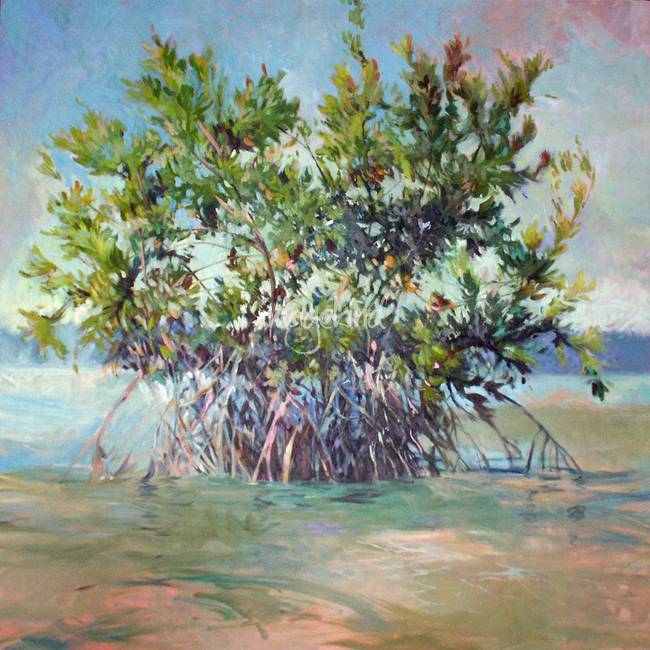 650x650 Stunning Mangrove Tree Painting Artwork For Sale On Fine Art Prints - Mangrove Painting