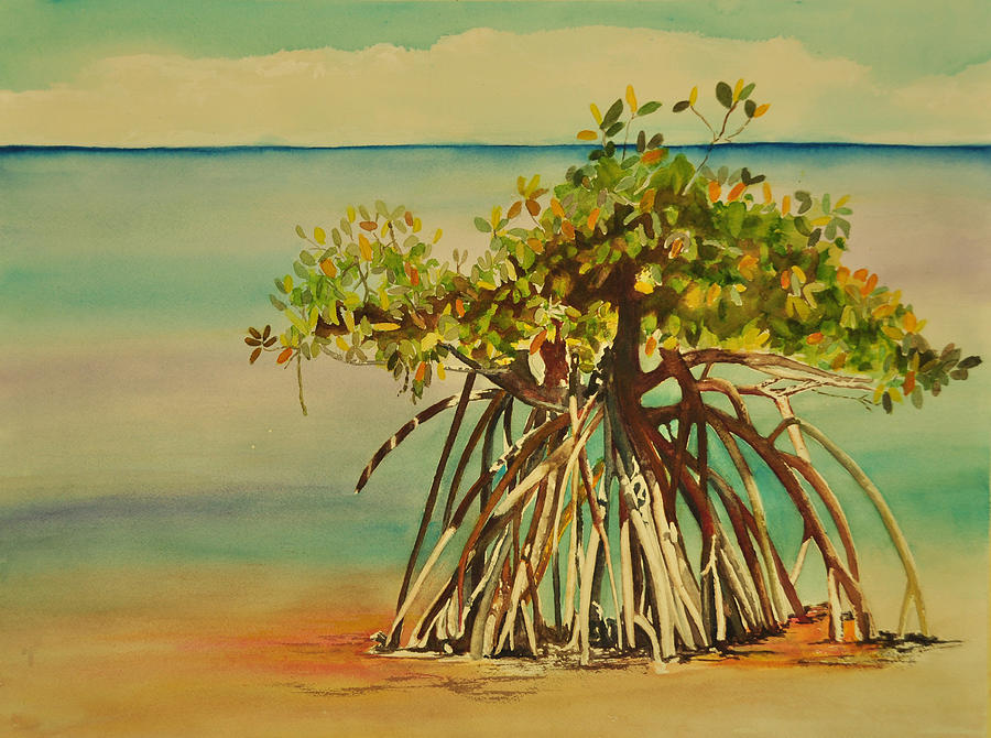 900x670 Keys Mangrove Painting By Terry Arroyo Mulrooney - Mangrove Painting