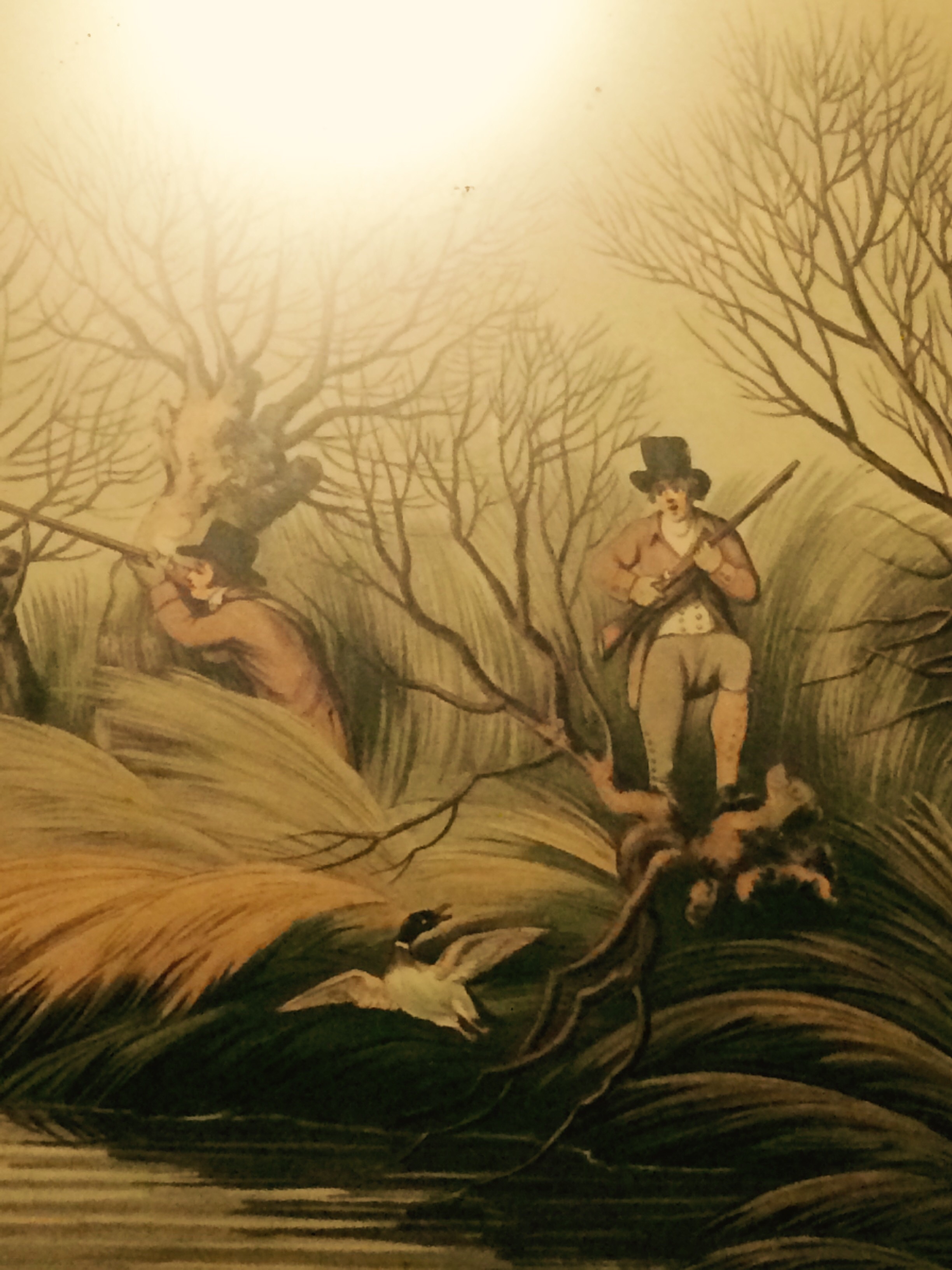 2448x3264 Manly Painting Or Colossal Camel Toe - Manly Painting