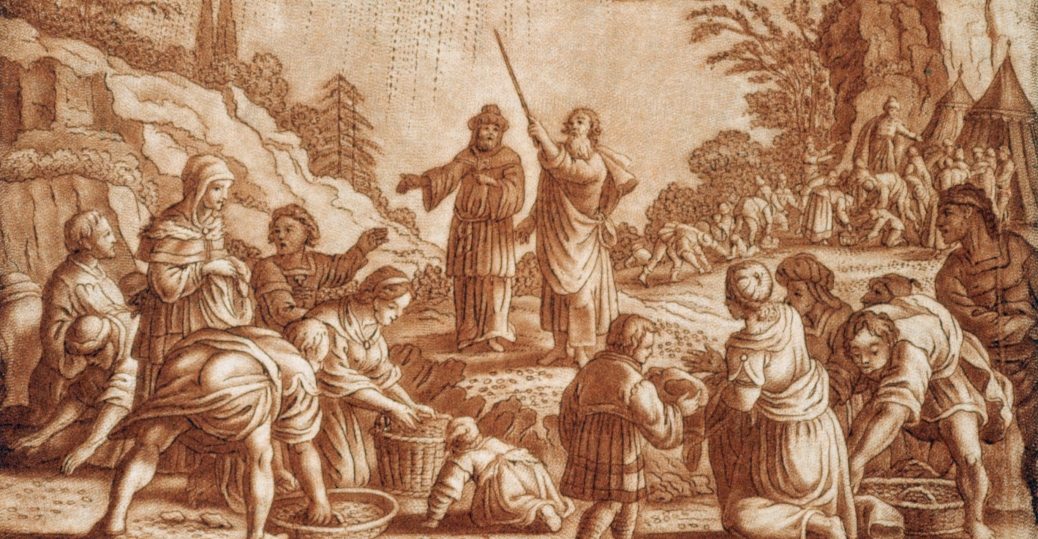 1038x539 God Sends Down Manna From Heaven - Manna From Heaven Painting