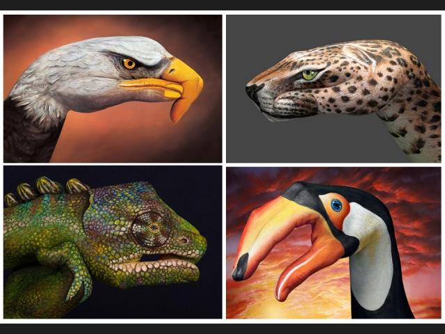 640x480 Lista 30 Animales Que No Se Van De Nuestras Manos (Body Painting) - Manos Painting