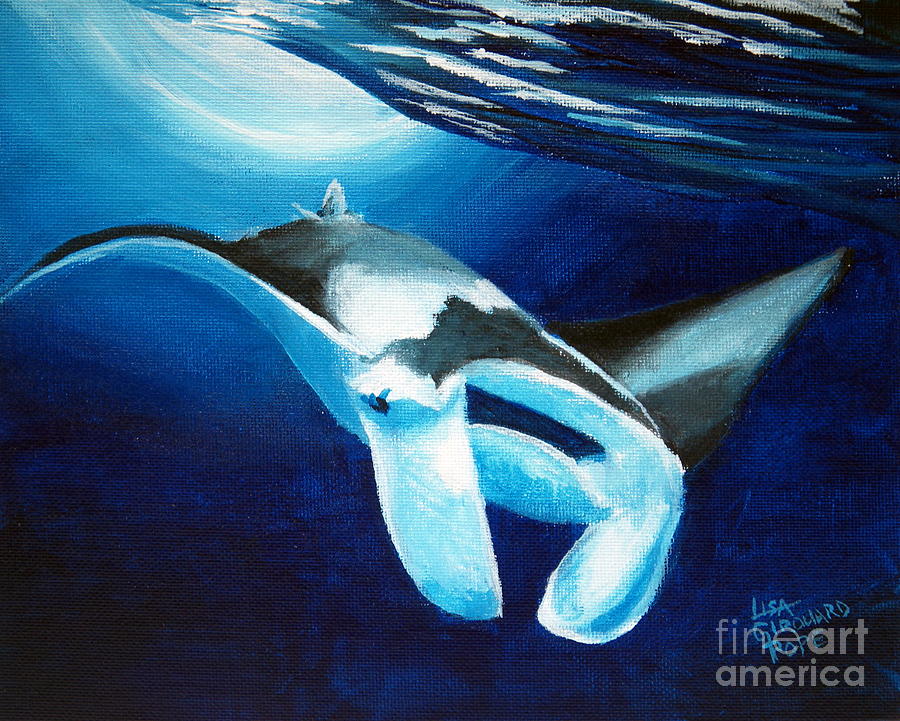 900x721 Manta Ray Diving Down Painting By Lisa Pope - Manta Ray Painting