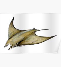 210x230 Manta Ray Painting Amp Mixed Media Posters Redbubble - Manta Ray Painting