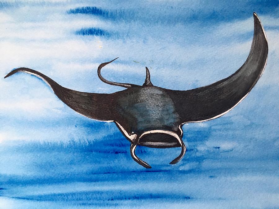 900x675 Manta Ray Painting By Amy Brown - Manta Ray Painting