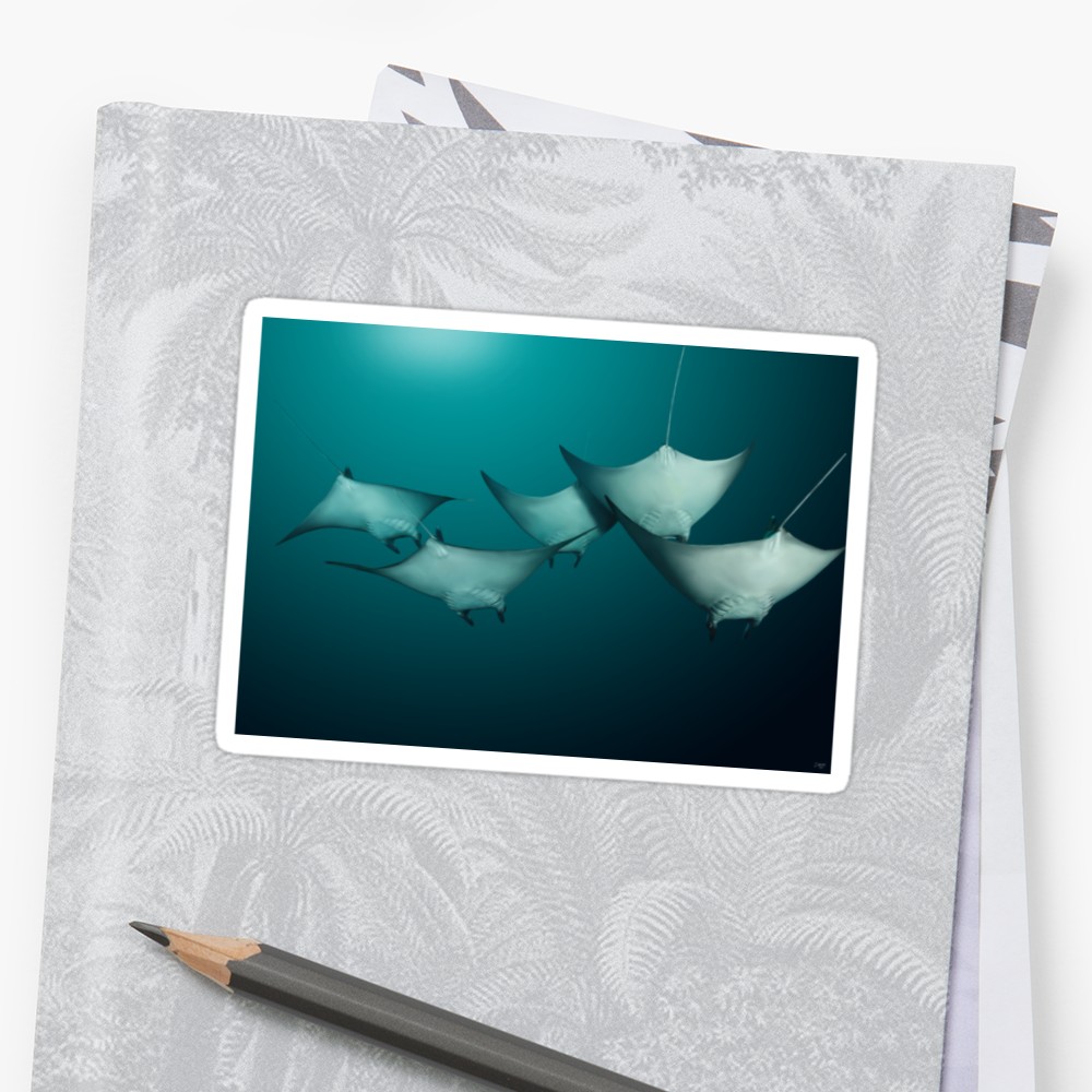 1000x1000 Manta Ray Painting Stickers By Sion Walker Redbubble - Manta Ray Painting