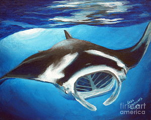 300x238 Manta Rays Paintings Fine Art America - Manta Ray Painting
