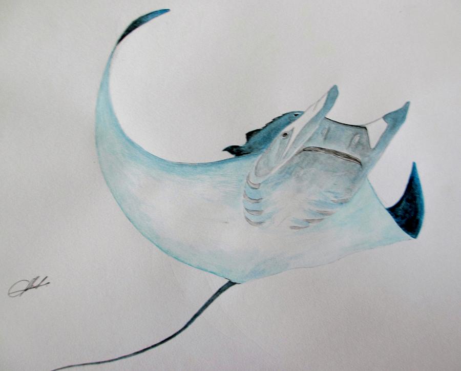 900x724 Manta Devil Ray Painting By Jack Bol - Manta Ray Painting
