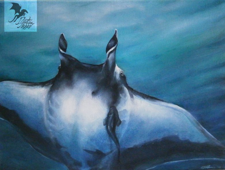 781x590 Manta Ray Acrylic Painting These Creatures Were Once Called - Manta Ray Painting