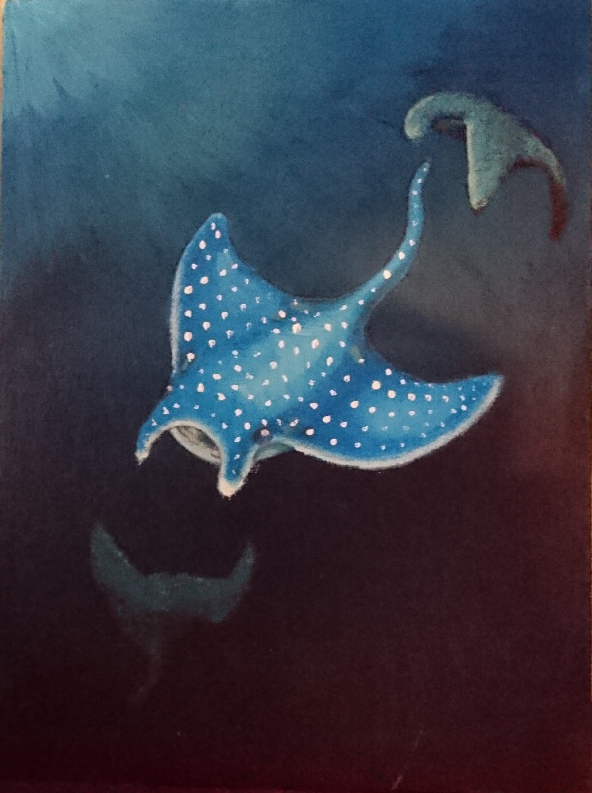 1929x2581 Manta Ray Steven Tait - Manta Ray Painting