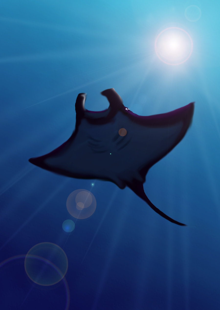 900x1269 Manta Ray - Manta Ray Painting