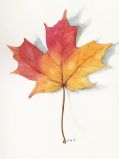 236x314 Fall Leaves, Maple Leaf, Painting, Fall Decor, Autumn Leaves - Maple Leaf Painting