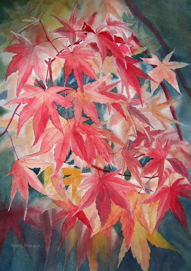635x900 Fall Maple Leaves Painting By Sharon Freeman - Maple Leaf Painting