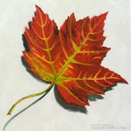 425x425 Leaf Painting Maple Leaf - Maple Leaf Painting