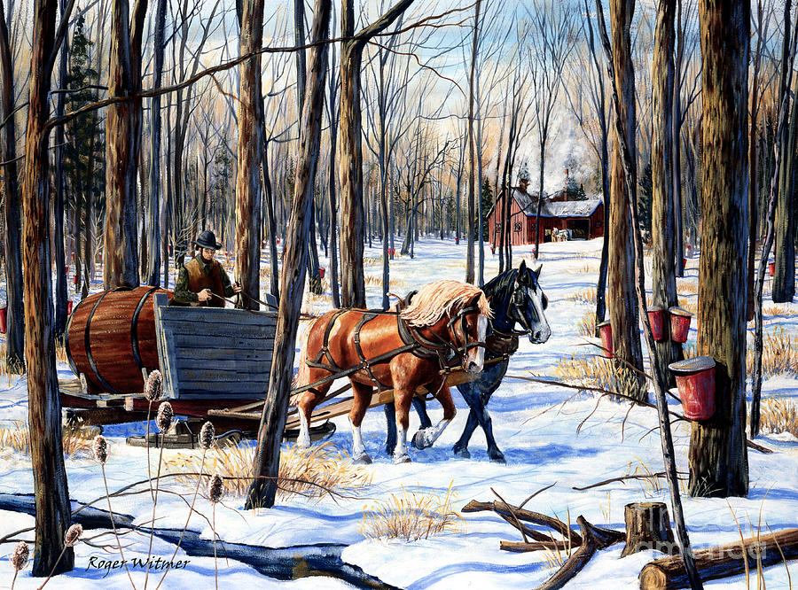 900x666 In The Sugar Bush Painting By Roger Witmer - Maple Syrup Painting