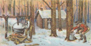 367x187 Farm Scenes - Maple Syrup Painting