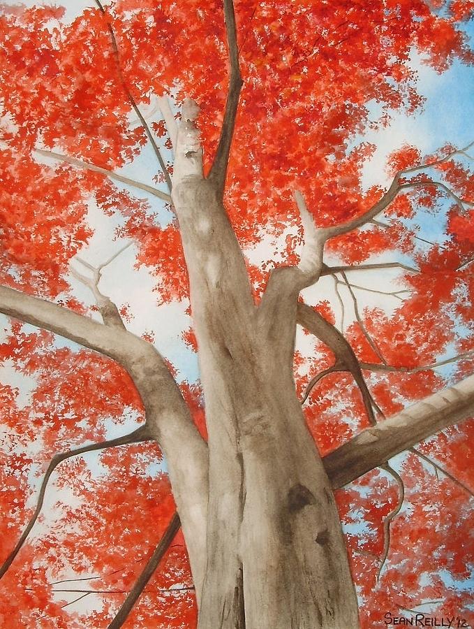 679x900 Red Maple Tree Painting By Sean Reilly - Maple Tree Painting